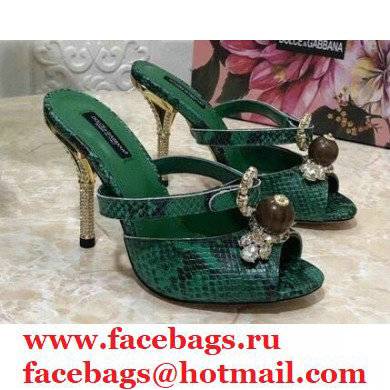 Dolce & Gabbana Crystal Heel 10.5cm Python Mules Green 2021